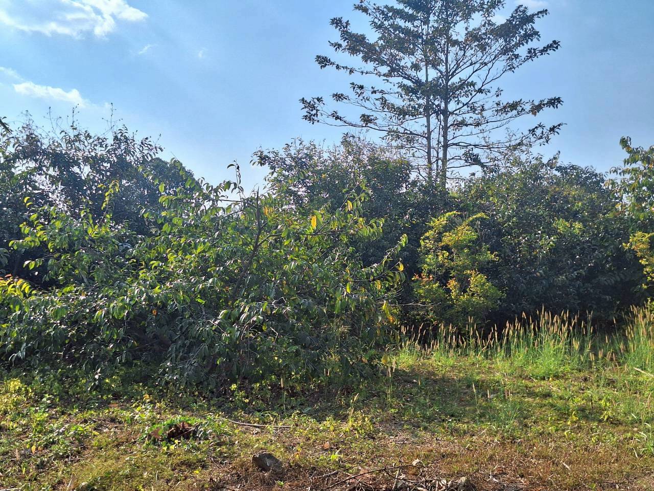 title - ผู้ตรวจราชการ ส.ป.ก. ร่วมประชุมคณะทำงานติดตามเร่งรัดการใช้จ่ายงบประมาณประจำปีงบประมาณ พ.ศ. 2569 ของสำนักงานการปฏิรูปที่ดินเพื่อเกษตรกรรม ครั้งที่ 1/2569 และประชุมตรวจราชการและติดตามความก้าวหน้าผลการดำเนินงานตามแผนการตรวจราชการของผู้ตรวจราชการสำนักงานการปฏิรูปที่ดินเพื่อเกษตรกรรม ประจำปีงบประมาณ พ.ศ. 2569 รอบที่ 1 เขตตรวจราชการที่ 11 จังหวัดสกลนคร